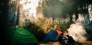 Some-Leave-No-Trace-Things-Every-Camper-Should-Avoid-on-lightroom-news