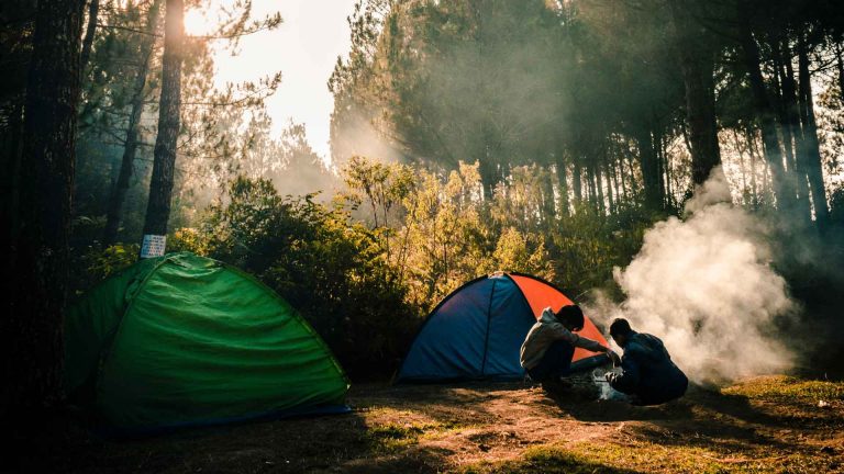 Some-Leave-No-Trace-Things-Every-Camper-Should-Avoid-on-lightroom-news